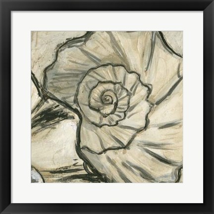 Framed Seashell Spiral II Print