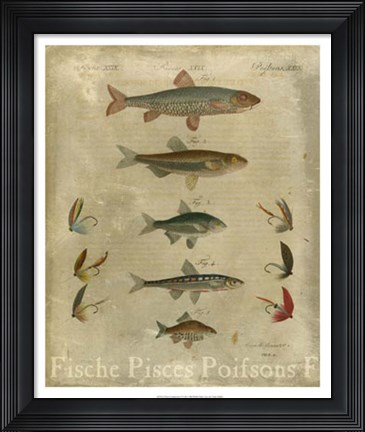 Framed Pisces Composition I Print