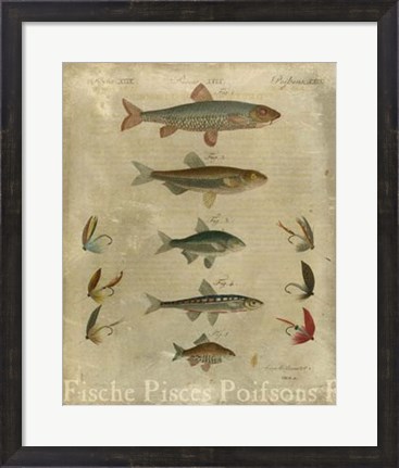 Framed Pisces Composition I Print