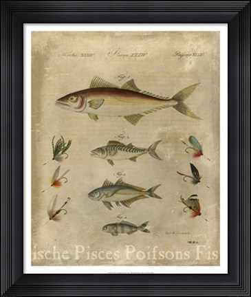 Framed Pisces Composition II Print