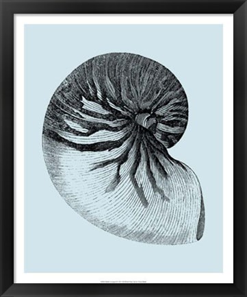 Framed Shells on Aqua II Print