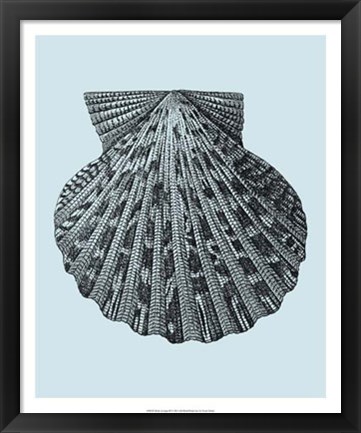 Framed Shells on Aqua III Print