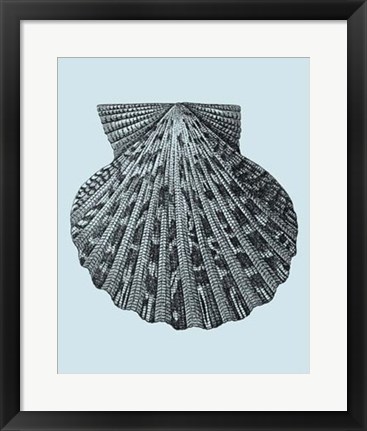 Framed Shells on Aqua III Print