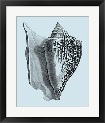 Framed Shells on Aqua IV Print