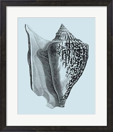 Framed Shells on Aqua IV Print