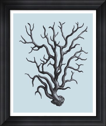 Framed Coral on Aqua I Print