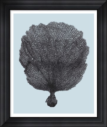 Framed Coral on Aqua II Print