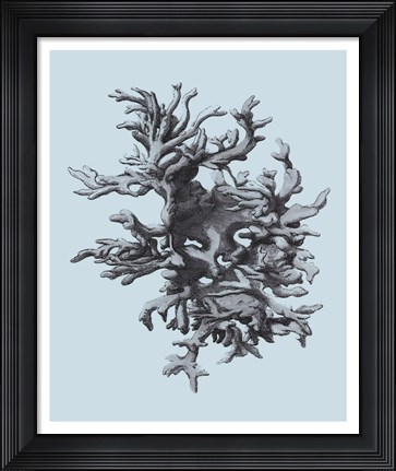 Framed Coral on Aqua III Print