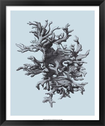 Framed Coral on Aqua III Print
