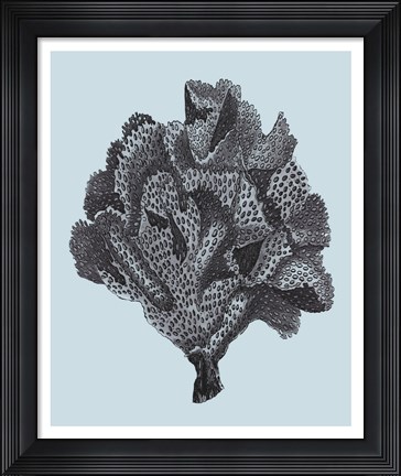 Framed Coral on Aqua IV Print