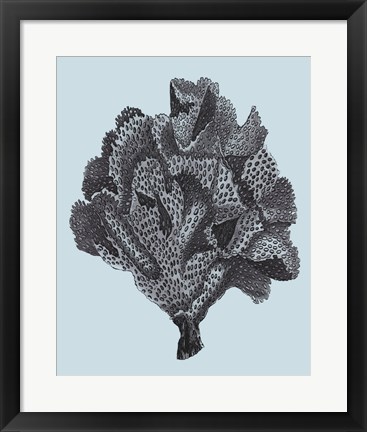 Framed Coral on Aqua IV Print