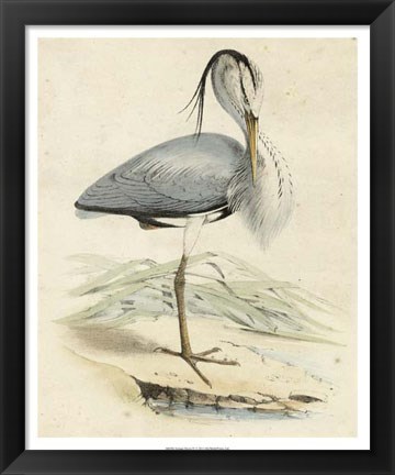 Framed Antique Heron IV Print