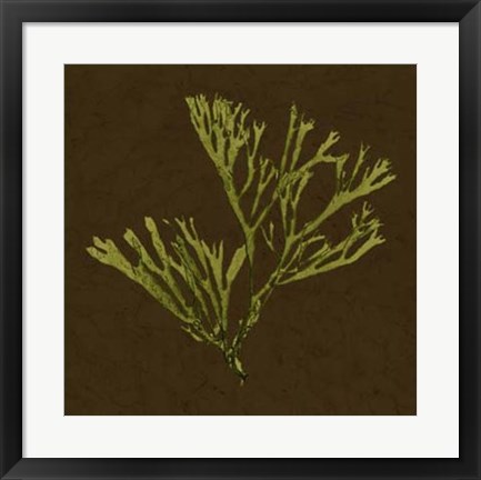 Framed Dramatic Kelp II Print