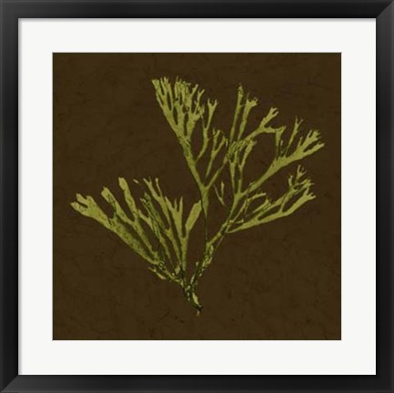 Framed Dramatic Kelp II Print