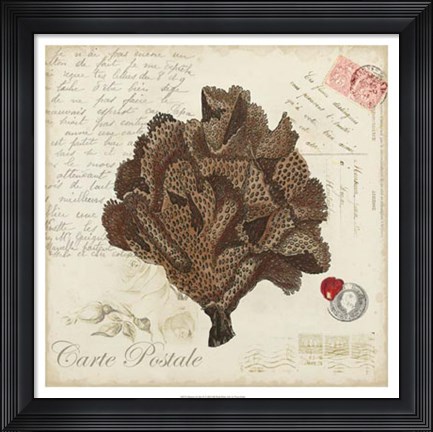 Framed Romance du Mer IV Print