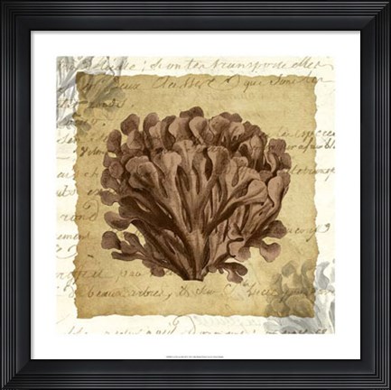 Framed La Vie en Mer III Print