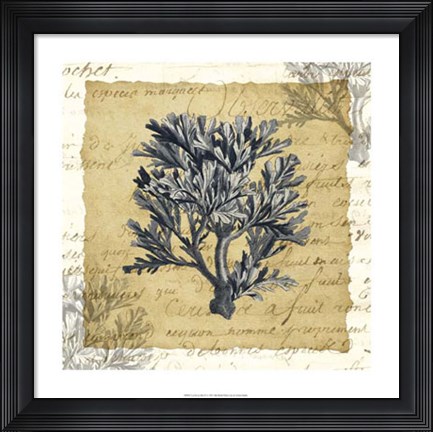 Framed La Vie en Mer IV Print