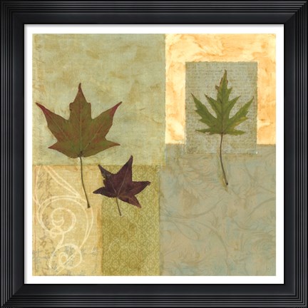 Framed Earth Elements I Print