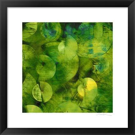 Framed Nautilus in Green I Print