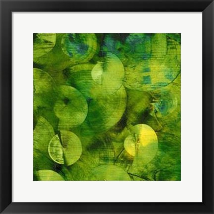 Framed Nautilus in Green I Print