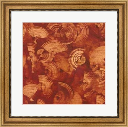 Framed Nautilus in Rust I Print
