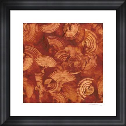 Framed Nautilus in Rust II Print