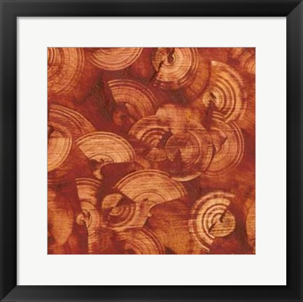 Framed Nautilus in Rust II Print