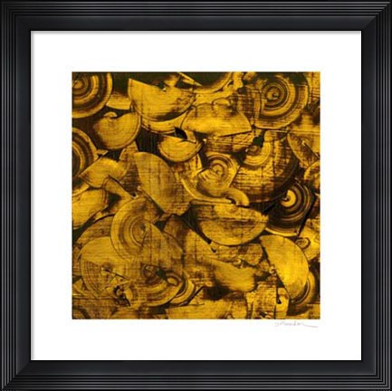 Framed Nautilus in Gold I Print