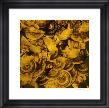 Framed Nautilus in Gold II Print