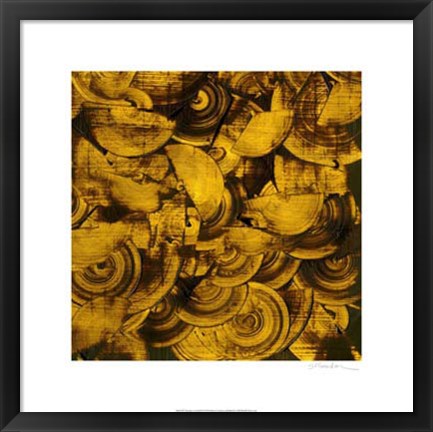 Framed Nautilus in Gold II Print