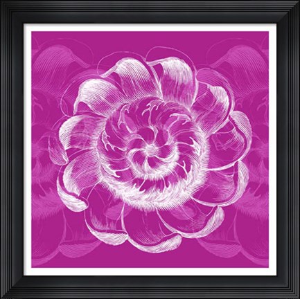 Framed Chromatic Rosette I Print
