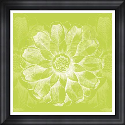 Framed Chromatic Rosette II Print