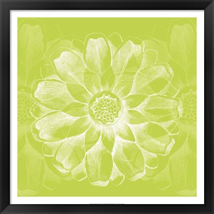 Framed Chromatic Rosette II Print