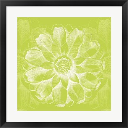 Framed Chromatic Rosette II Print