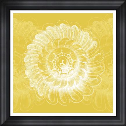Framed Chromatic Rosette IV Print