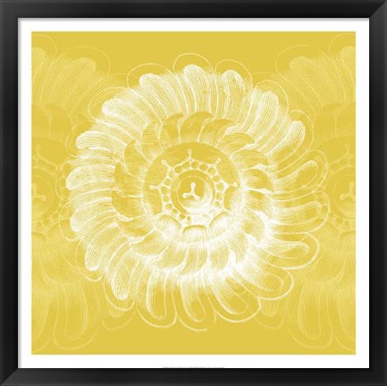 Framed Chromatic Rosette IV Print