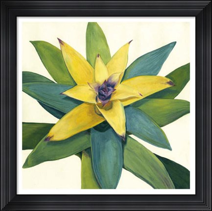 Framed Tropical Bloom I Print