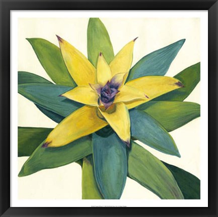 Framed Tropical Bloom I Print