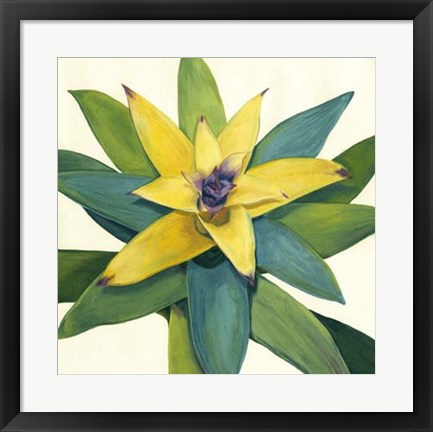 Framed Tropical Bloom I Print