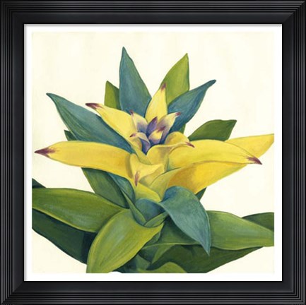 Framed Tropical Bloom II Print