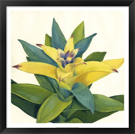 Framed Tropical Bloom II Print