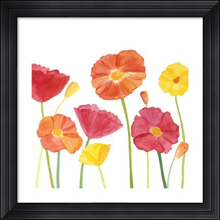 Framed Simply Poppies II Print