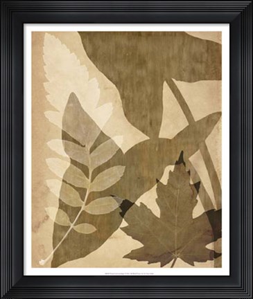 Framed Pressed Leaf Assemblage I Print