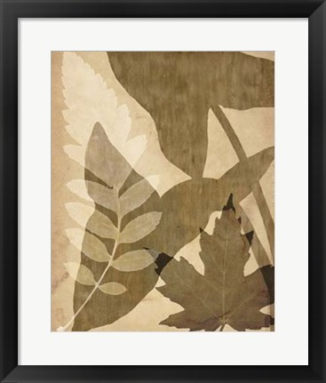 Framed Pressed Leaf Assemblage I Print