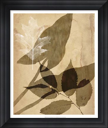 Framed Pressed Leaf Assemblage II Print