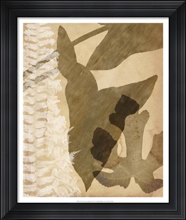 Framed Pressed Leaf Assemblage III Print