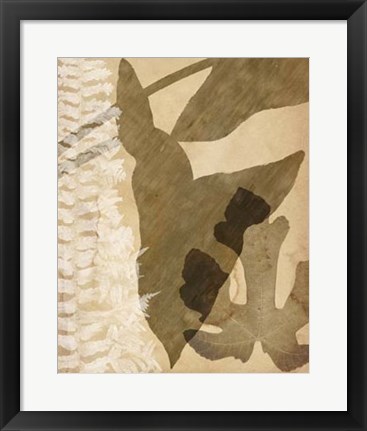 Framed Pressed Leaf Assemblage III Print