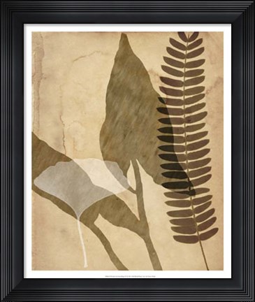 Framed Pressed Leaf Assemblage IV Print
