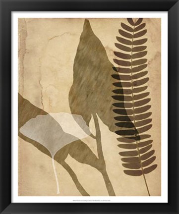 Framed Pressed Leaf Assemblage IV Print