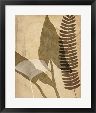 Framed Pressed Leaf Assemblage IV Print